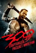 300 :  